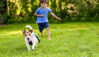 Tierisch gut drauf - Wie Ihre Apotheke helfen kann